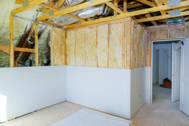 Best Insulation Inspection Services  in Midlothian, VA