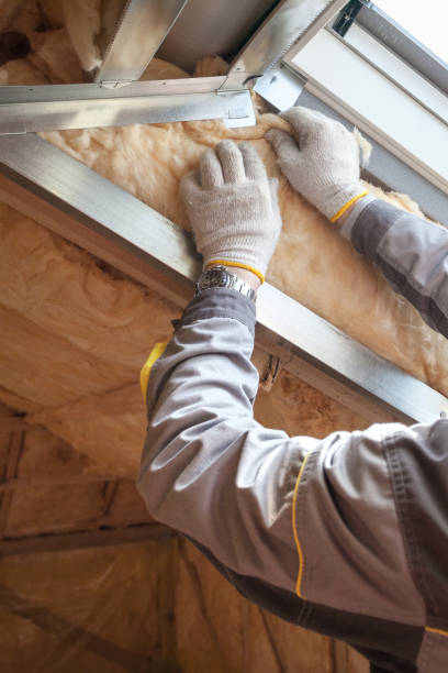 Best Fiberglass Insulation  in Midlothian, VA