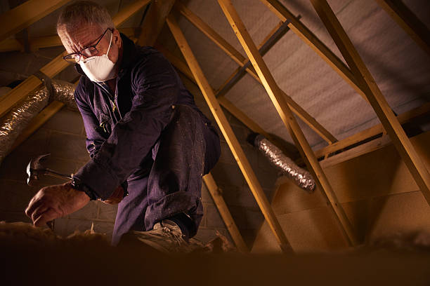 Best Blown-in Insulation  in Midlothian, VA